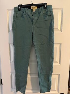 Democracy Skinny Jeans in Teal